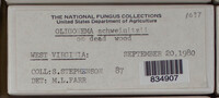 Image Associated With the Occurence